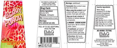 Image Description (Berry Punch Scented Hand Sanitizer  62 Vv 29 mL)